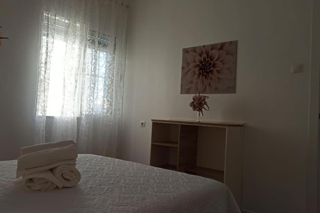 Acogedor Piso Centro, San Miguel Apartamento Jerez de la Frontera Exterior foto